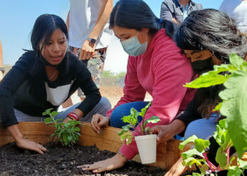 Refuerzan la educación ambiental mediante platicas a niños y jóvenes