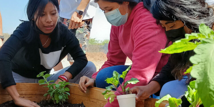Refuerzan la educación ambiental mediante platicas a niños y jóvenes