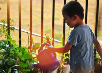 Enseñaran a niñas y niños a preservar y cuidar las plantas que hay en casa