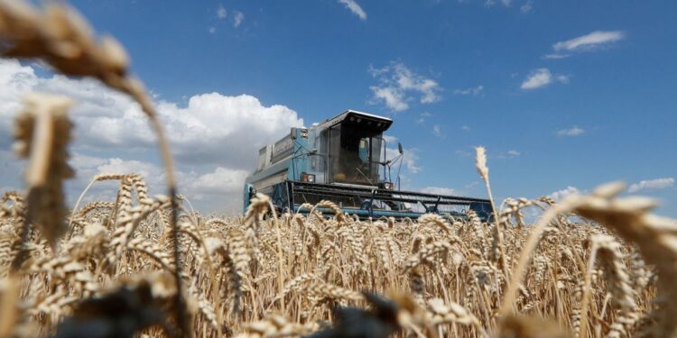 Trigo aumenta 8.6% tras ataques rusos a puertos y almacenes de cereales en Ucrania
