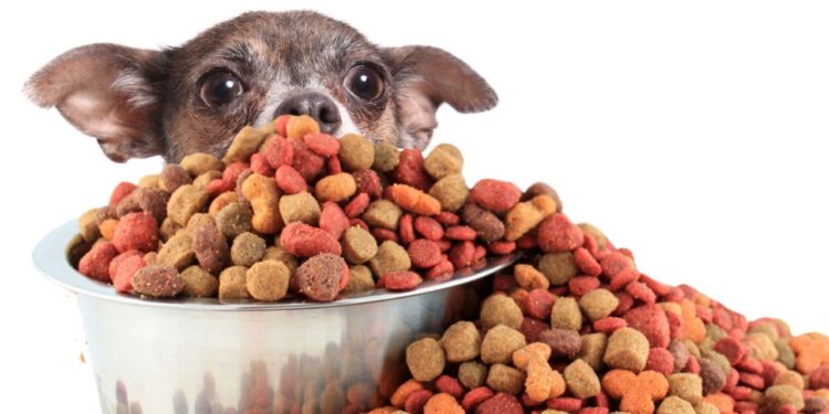 México importa 162% más alimento para mascotas que para bebés