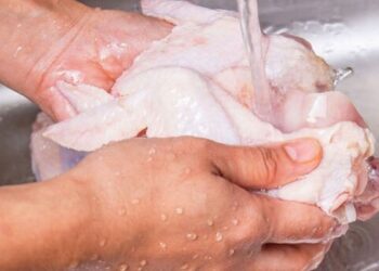 Llaman a procurar mucha higiene al consumir alimentos en la calle