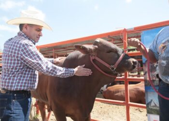 ‘LOS RESULTADOS QUE TIENE COAHUILA REFLEJAN LA UNIDAD Y EL TRABAJO EN EQUIPO’: MARS