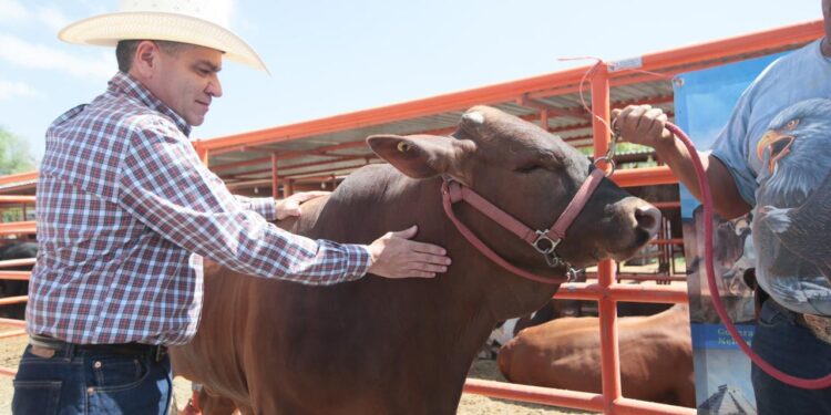 ‘LOS RESULTADOS QUE TIENE COAHUILA REFLEJAN LA UNIDAD Y EL TRABAJO EN EQUIPO’: MARS