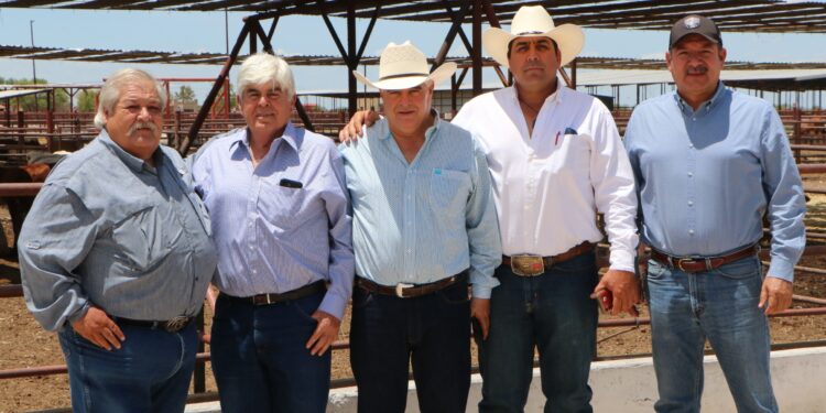 Luego de 13 años de trabajo, Coahuila espera elevar el estatus sanitario para exportar ganado a EU