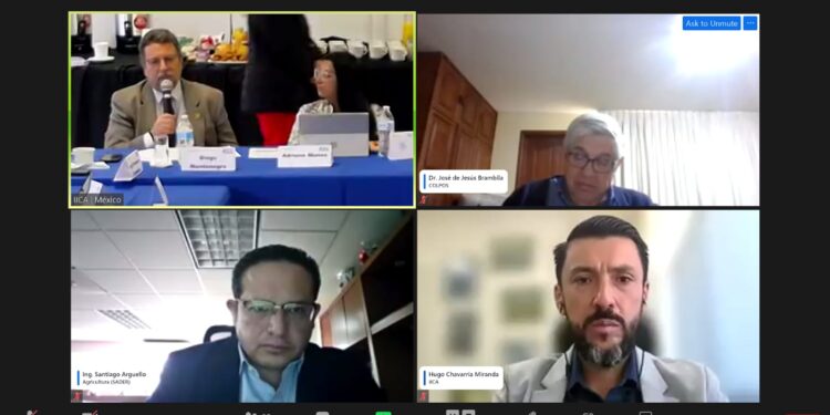 Especialistas construyen definición unificada de bioeconomía para transformar los sistemas agroalimentarios de México