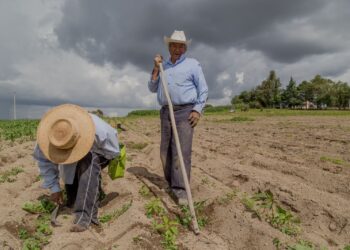 CONDENARÁ ENVEJECIMIENTO AL SECTOR RURAL DE NO IMPULSARSE LA TECNIFICACIÓN Y CIENCIA EN LA PRODUCCIÓN: UMFFAAC