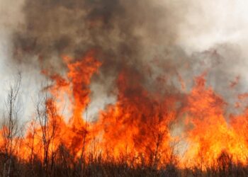 Coahuila sufre uno de los cinco Puntos Críticos que alertan científicos sobre el Calentamiento Global