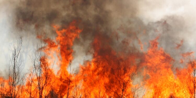 Coahuila sufre uno de los cinco Puntos Críticos que alertan científicos sobre el Calentamiento Global