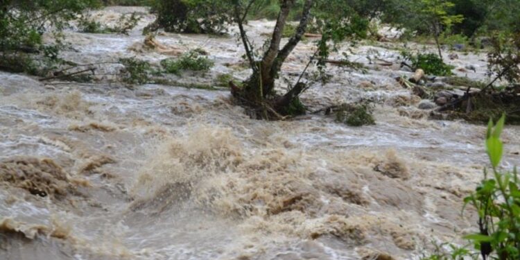 Se aproxima ciclón tropical al Golfo de México; azotará con fuertes lluvias, tolvaneras y granizadas a estos estados