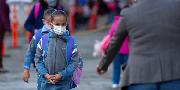 ¿Dónde quedó la gratuidad?