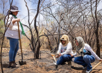 Lanzan sito web para registrar los hallazgos de colectivos que buscan personas desaparecidas en Sonora