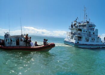 Inicia la ampliación del proyecto “sembrado de bloques de concreto” para proteger el santuario de la vaquita marina (Video)