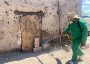 SALUD COAHUILA REALIZA ACCIONES CONTRA LA RICKETTSIA EN HOGARES Y ESCUELAS DE SAN PEDRO Y FRANCISCO I. MADERO