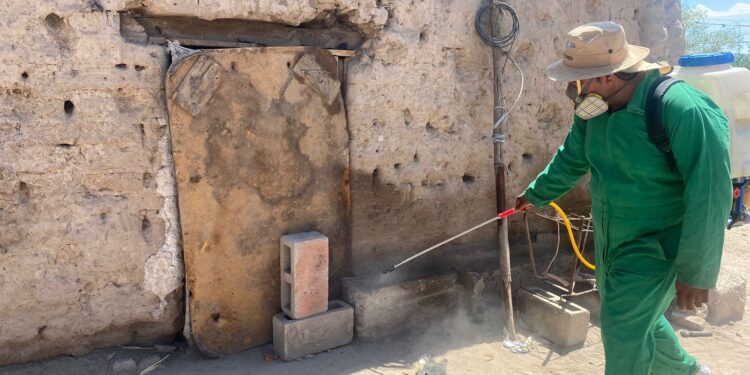 SALUD COAHUILA REALIZA ACCIONES CONTRA LA RICKETTSIA EN HOGARES Y ESCUELAS DE SAN PEDRO Y FRANCISCO I. MADERO