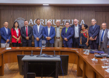 Pone en marcha Agricultura plan agronómico integral para proteger la producción nacional de cítricos