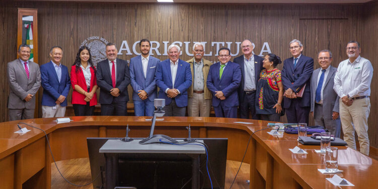 Pone en marcha Agricultura plan agronómico integral para proteger la producción nacional de cítricos