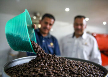 Crecen 5.16% exportaciones agroalimentarias mexicanas a julio pasado: Agricultura