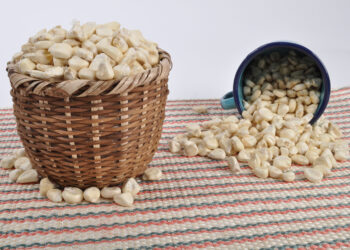 Garantiza Agricultura abasto de maíz cacahuacintle para los festejos patrios