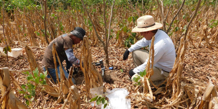 Alista Agricultura primera biofábrica en beneficio de suelos y cultivos