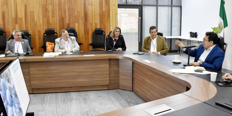 Suman esfuerzos Agricultura y productores para fortalecer sanidad e inocuidad de frutillas