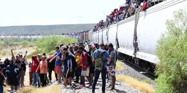 Suspensión de «La Bestia”: duro golpe económico para México