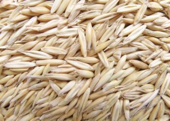 En Acuña aprueban dos programas para beneficiar la agricultura