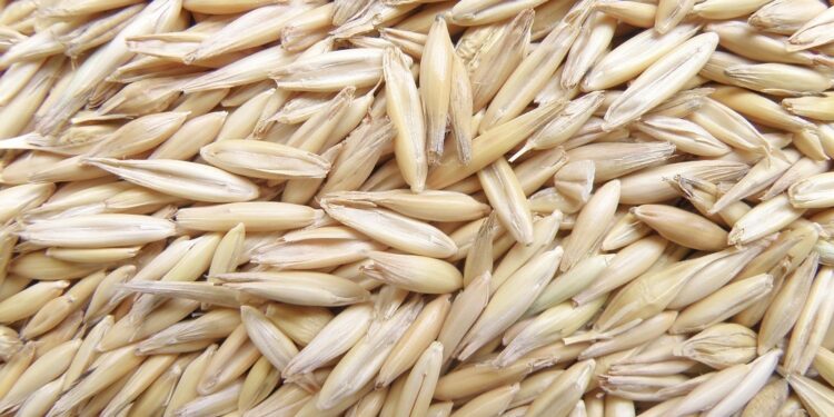 En Acuña aprueban dos programas para beneficiar la agricultura