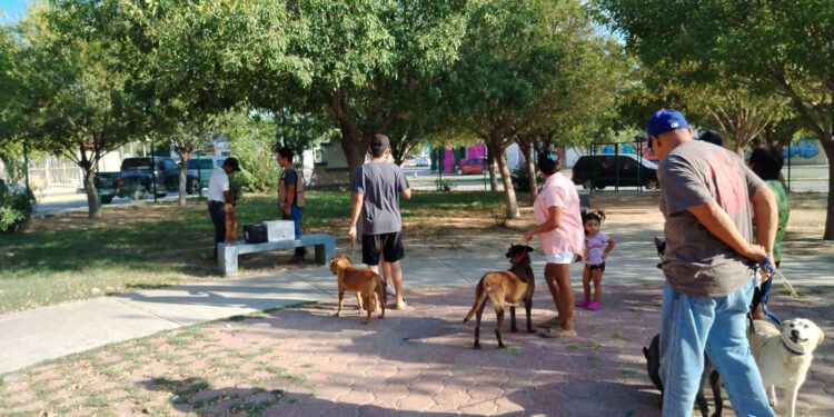 Acuña se suma a la jornada nacional de vacunación antirrábica