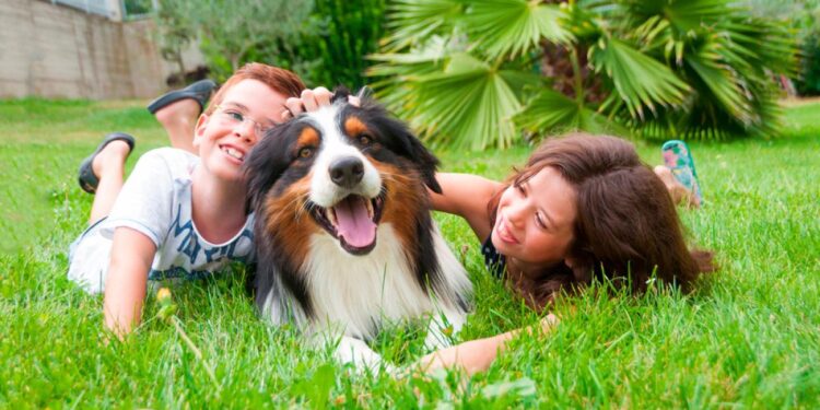 Llama a prevenir enfermedades que transmiten las mascotas