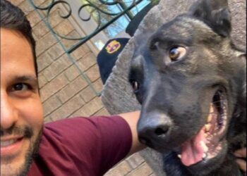 El emotivo reencuentro entre Alejandro y ‘Lobo’ en Torreón: una historia de lealtad canina que conmovió las redes sociales