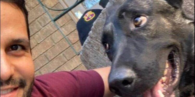 El emotivo reencuentro entre Alejandro y ‘Lobo’ en Torreón: una historia de lealtad canina que conmovió las redes sociales
