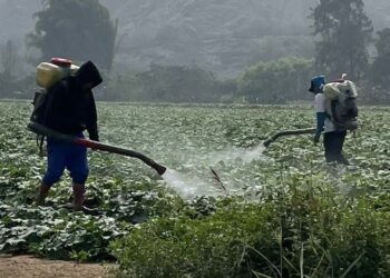 AUMENTARÁ ABANDONO Y CRISIS EN EL CAMPO SI SE PROHÍBE EL USO DE PLAGUICIDAS