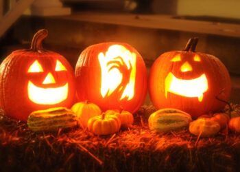 ¿Y cuál le conviene a usted?