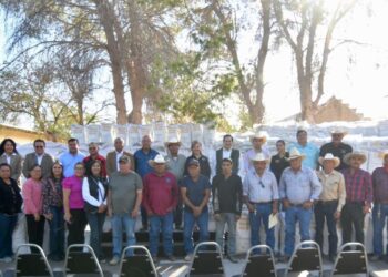 APOYA MUNICIPIO AL CAMPO  CON AVENA FORRAJERA