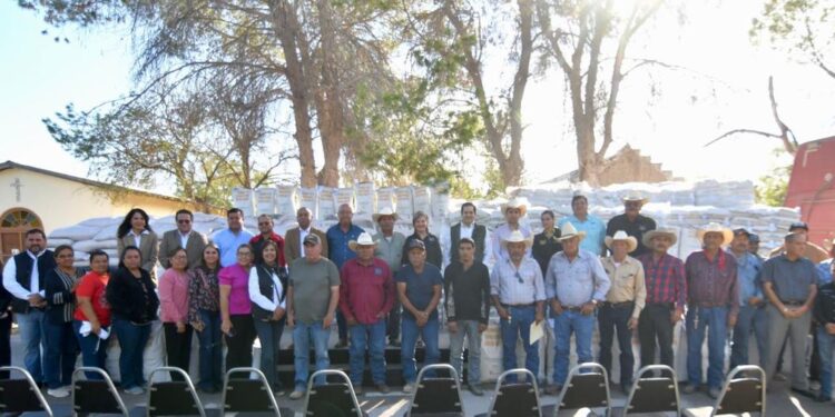 APOYA MUNICIPIO AL CAMPO  CON AVENA FORRAJERA