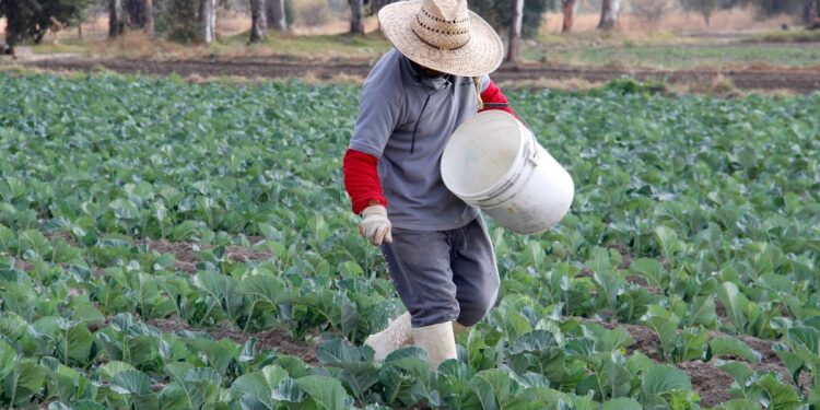 Si no llegan apoyos al campo la gente seguirá abandonándolo: Delio Galindo Briones