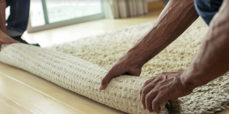 Con la llegada del otoño fuera de casa alfombras y a exagerar en la limpieza: Especialista