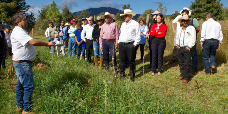 Trabajan Agricultura y FAO en recuperación de lagos en Michoacán, en favor de la producción sustentable de alimentos