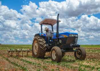 Anuncia Agricultura incremento del precio de garantía del frijol