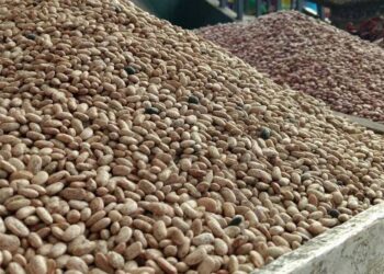 Frijol aumentará de precio; producción caería hasta un 50% por sequía