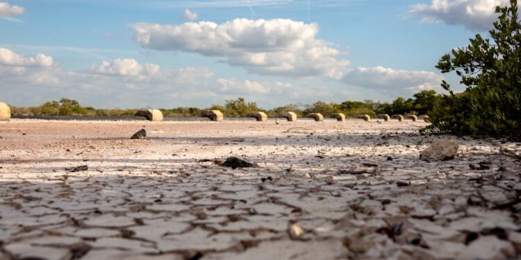 SE EXTIENDE EL FANTASMA DEL HAMBRE EN EL CAMPO Y NO POR EL DÍA DE MUERTOS