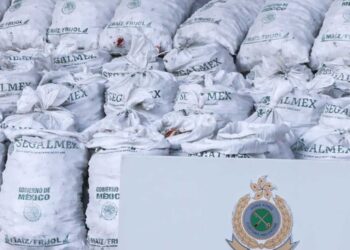 Aseguran cargamento de 1.1 toneladas de metanfetamina procedente de México con logos de SEGALMEX en Hong Kong