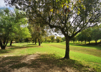 En marcha rehabilitación del parque ecológico Braulio Fernández Aguirre