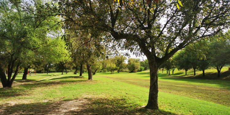 En marcha rehabilitación del parque ecológico Braulio Fernández Aguirre