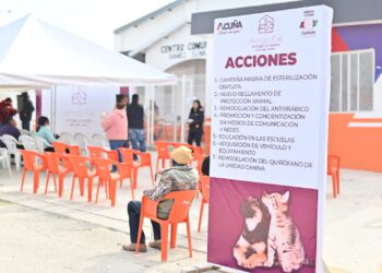 Inician campaña “Amigo fiel” en favor del cuidado de animales de compañía