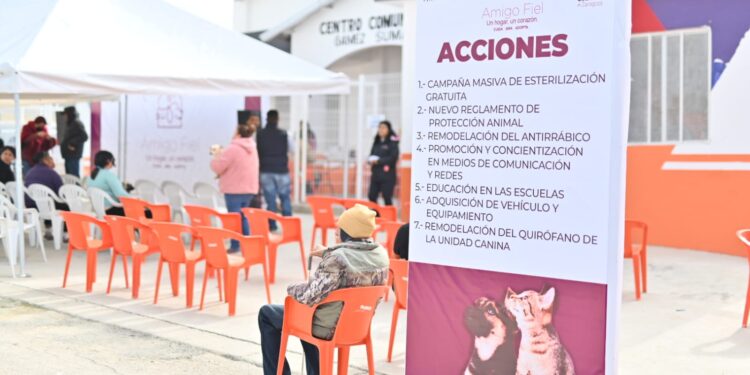 Inician campaña “Amigo fiel” en favor del cuidado de animales de compañía