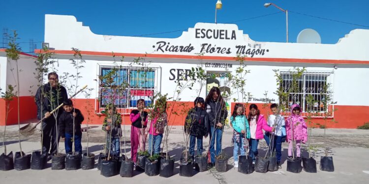 Continúan con programa de reforestación en Ejidos de Acuña