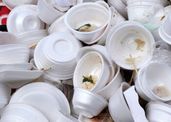 Miles de animales marinos y aves víctimas del uso desmedido de desechables en el mundo