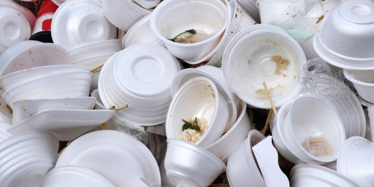 Miles de animales marinos y aves víctimas del uso desmedido de desechables en el mundo